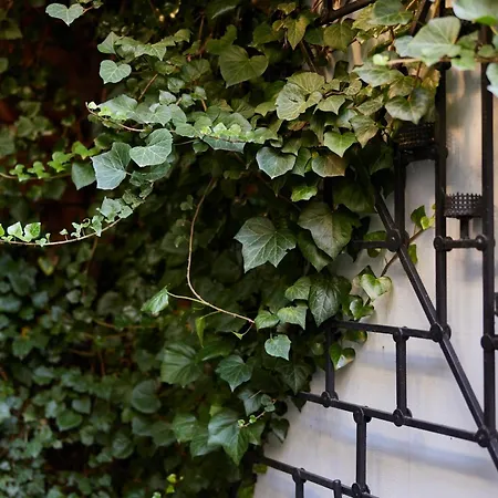 By Bogunia Апартаменты Бельско-Бяла